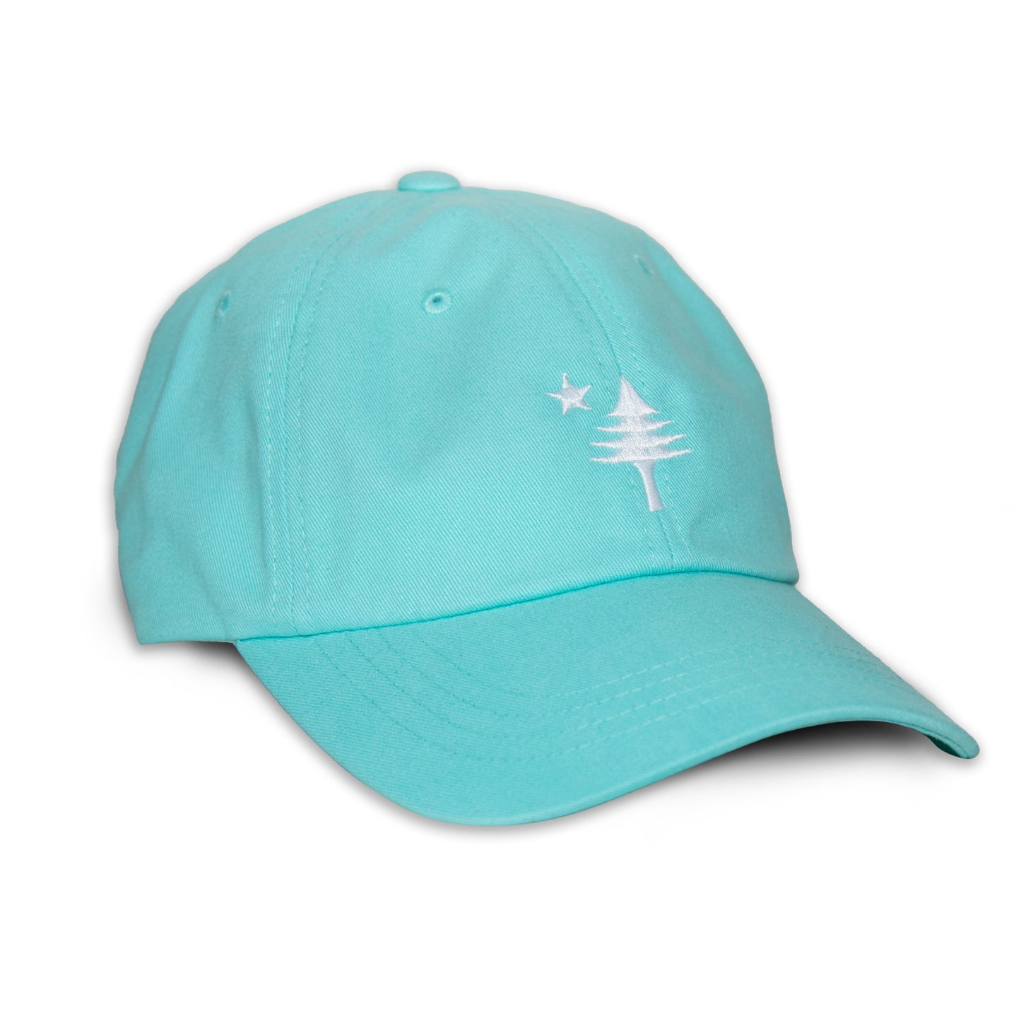 Old Maine Flag Dad Hat