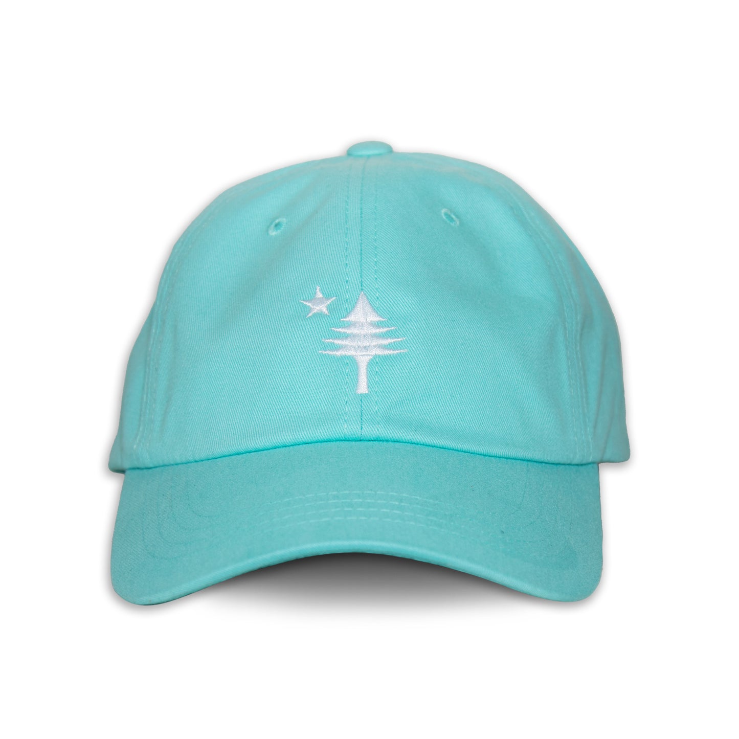 Old Maine Flag Dad Hat