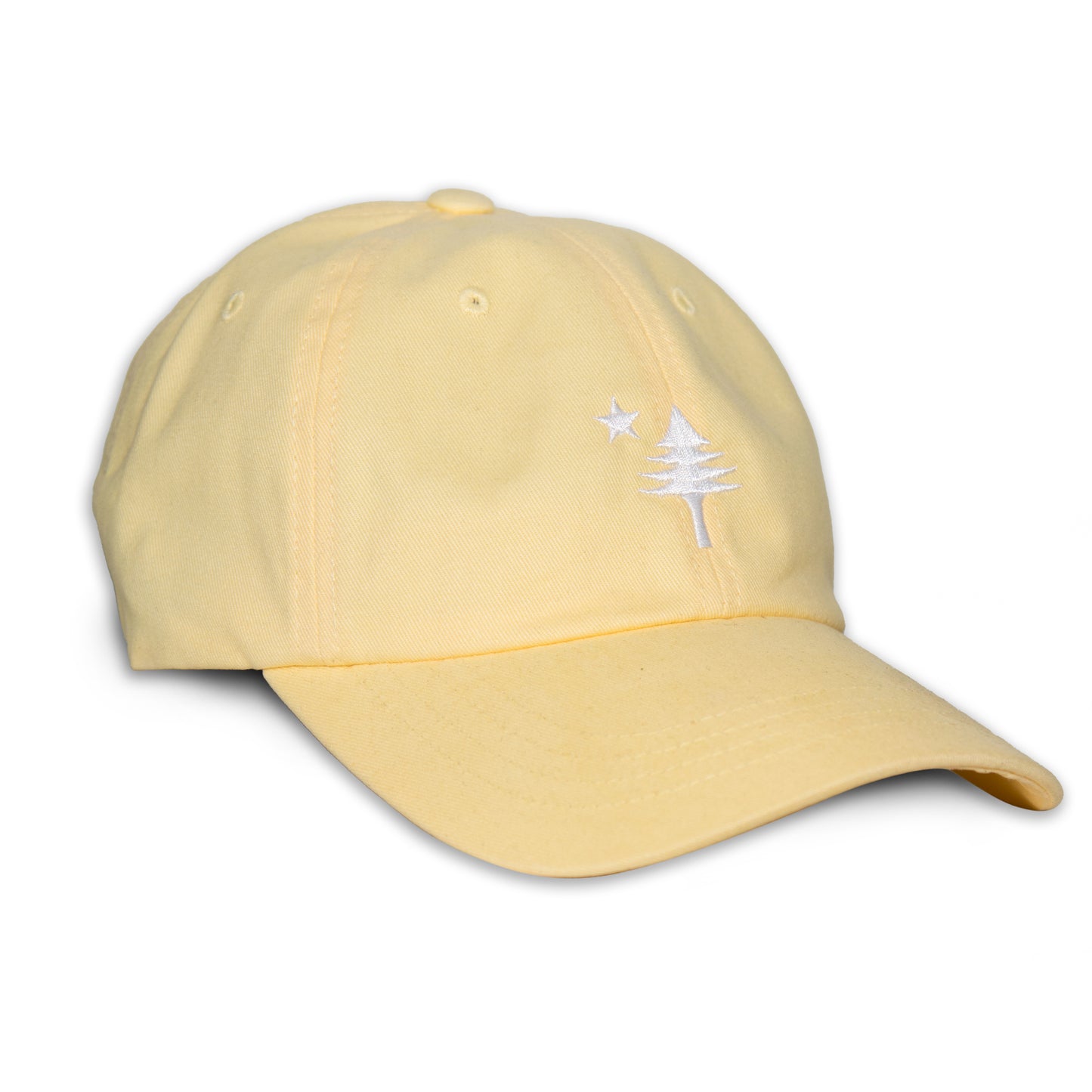 Old Maine Flag Dad Hat