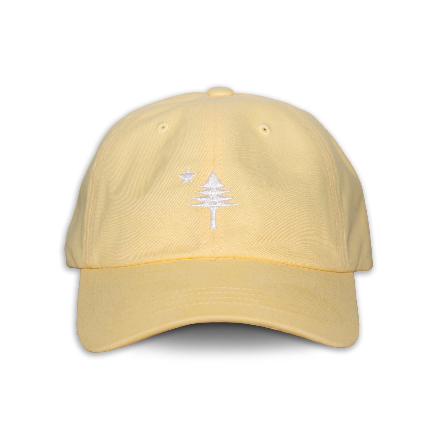Old Maine Flag Dad Hat