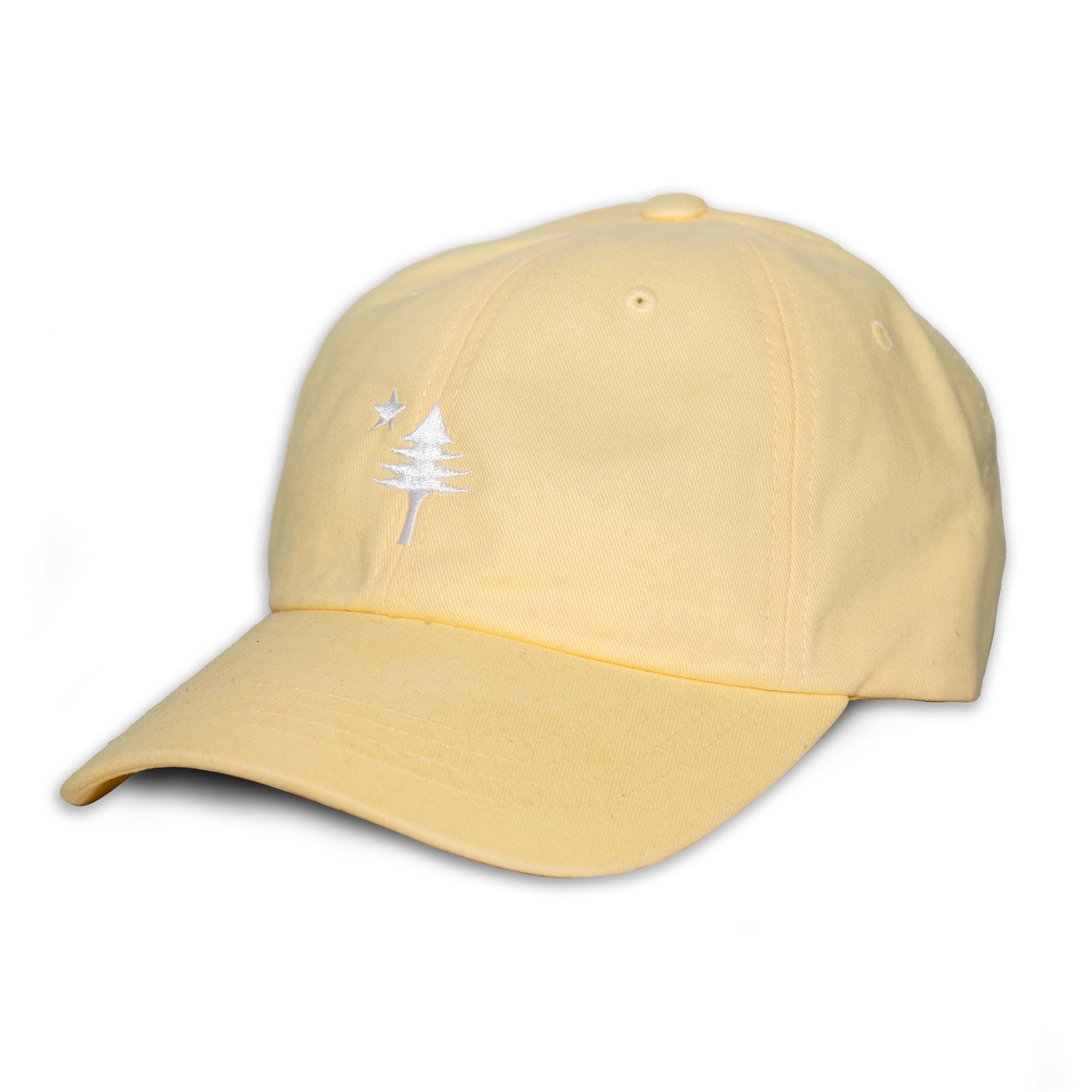 Old Maine Flag Dad Hat