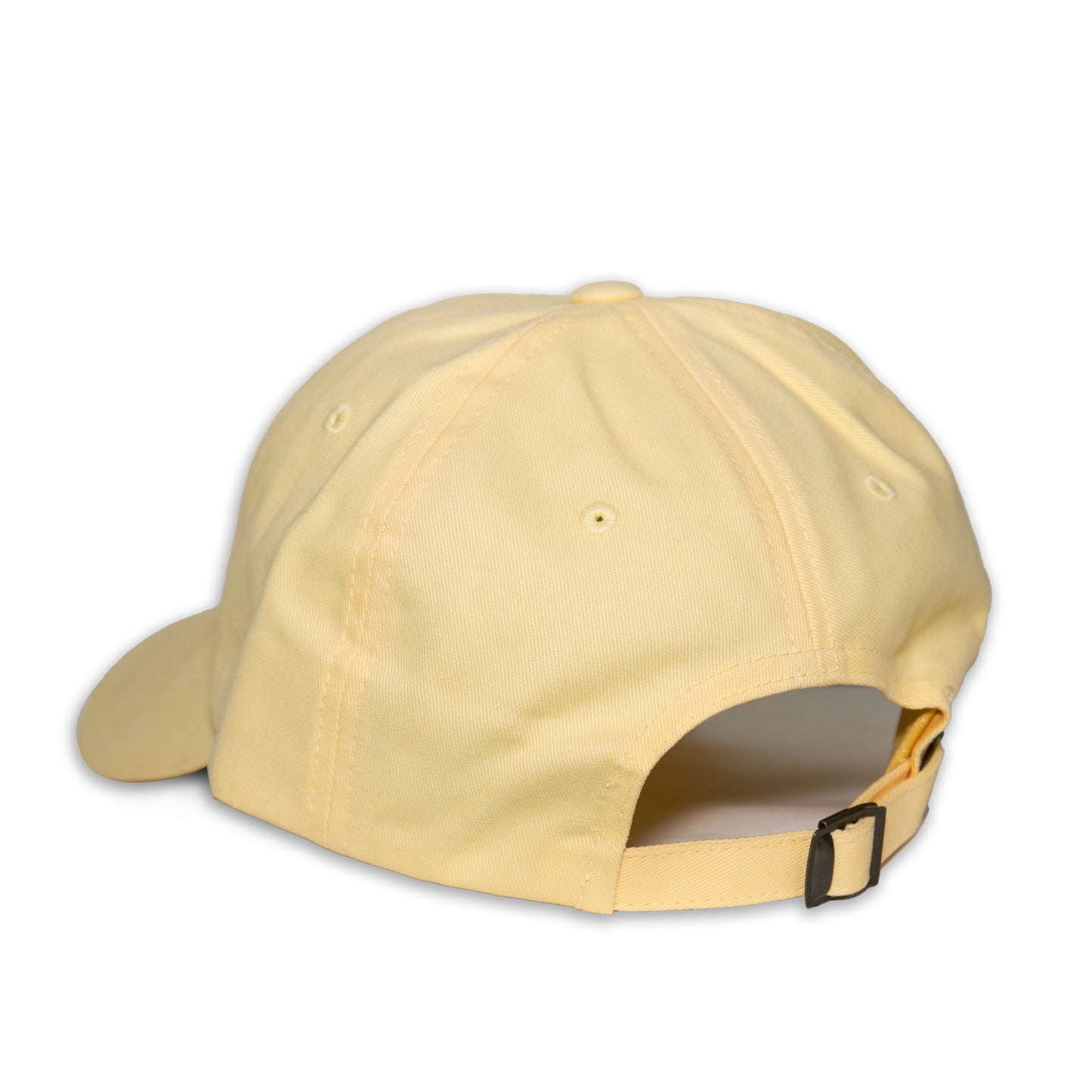 Old Maine Flag Dad Hat