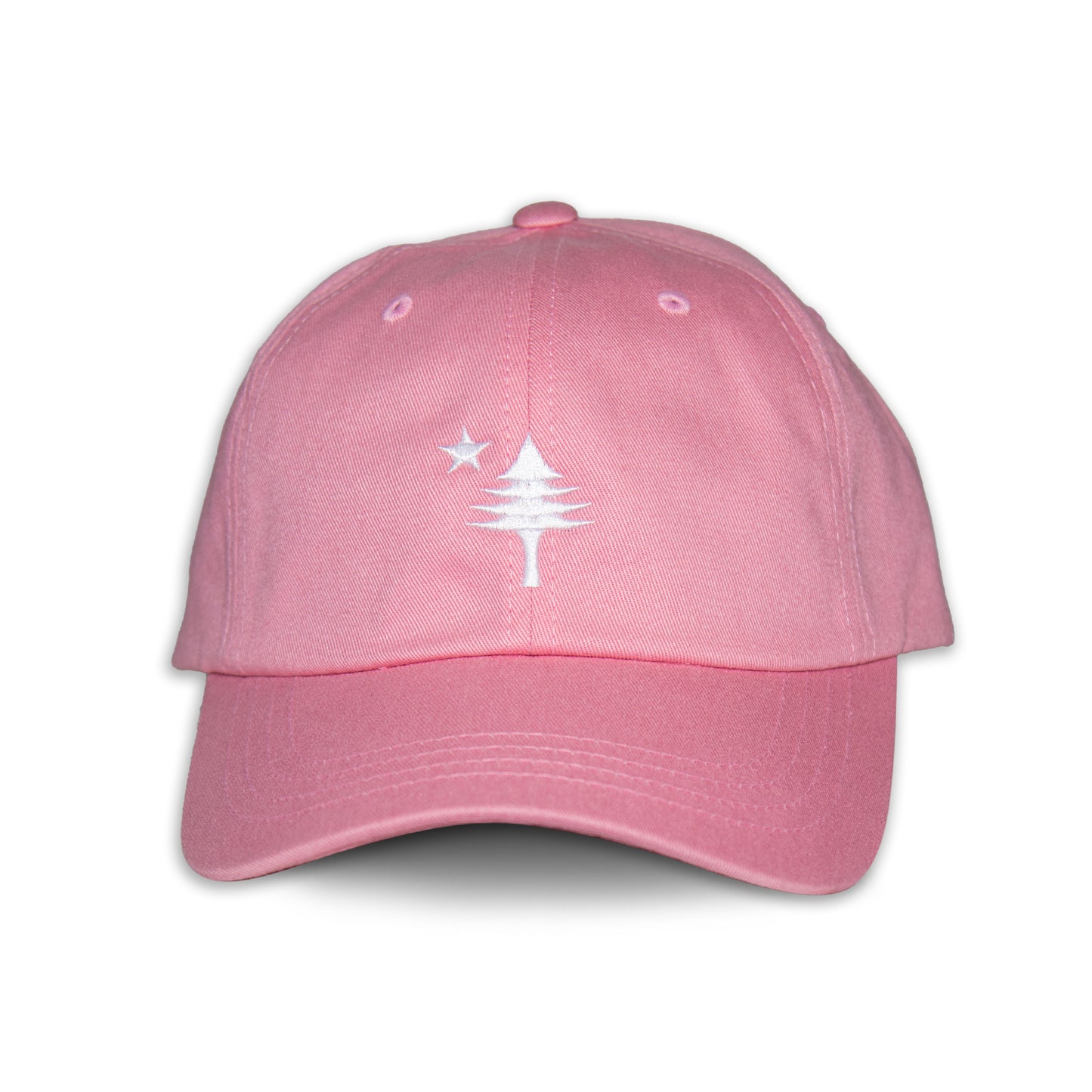 Old Maine Flag Dad Hat