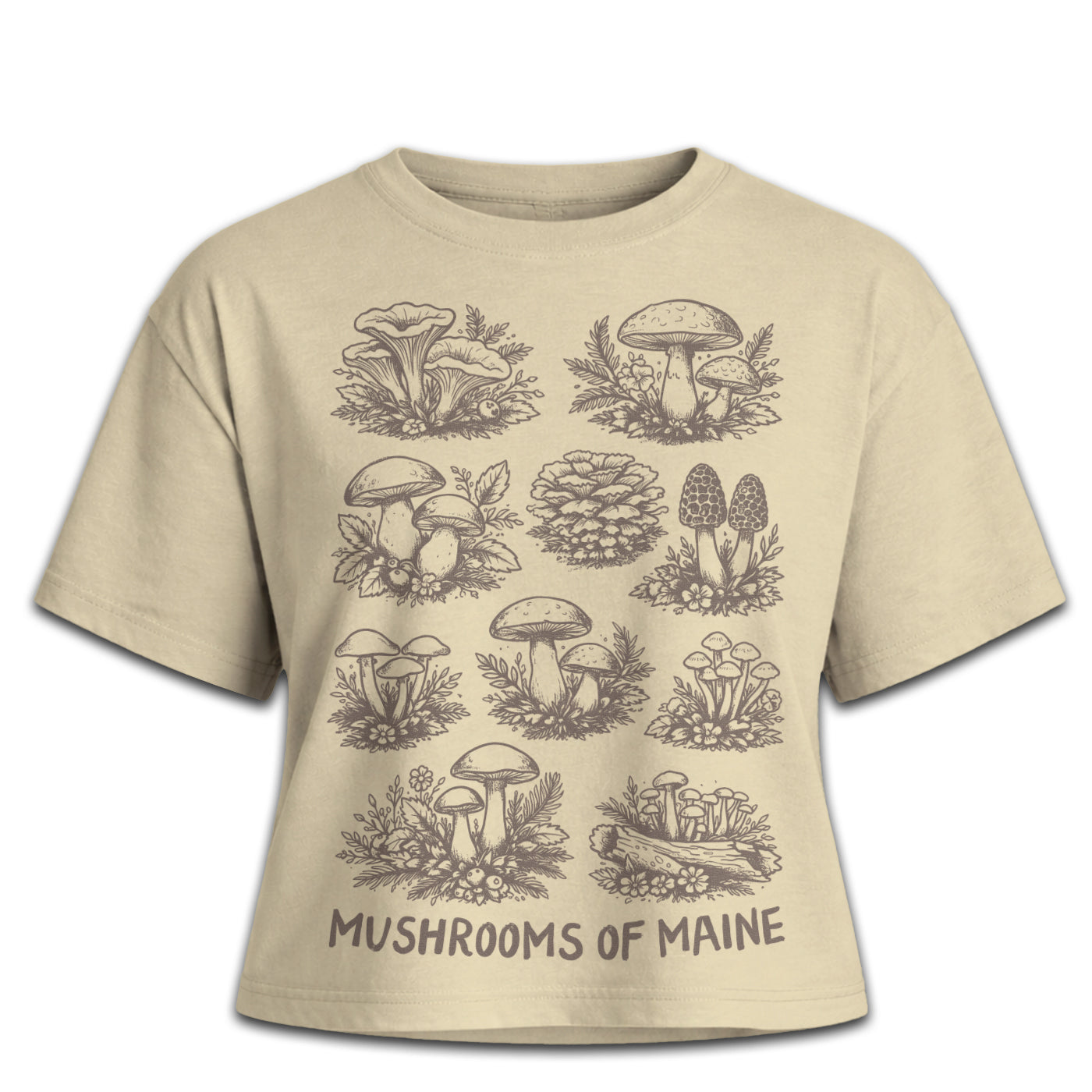 Maine Mushrooms Drop Shoulder Women's T-Shirt