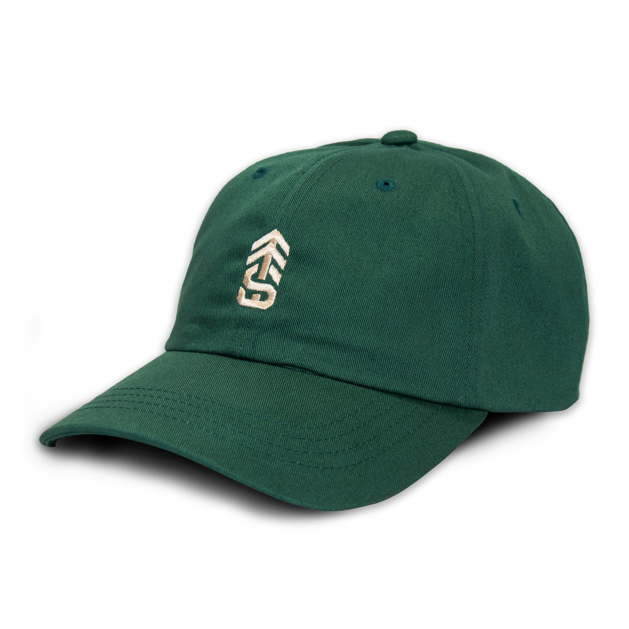 Icon 'Dad' Hat