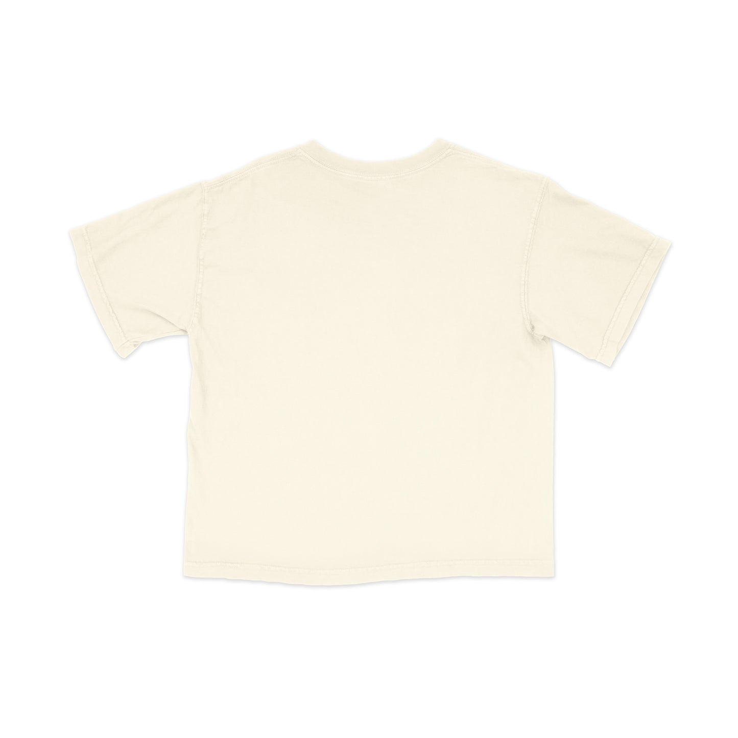 Friends Heavyweight Crop T-Shirt