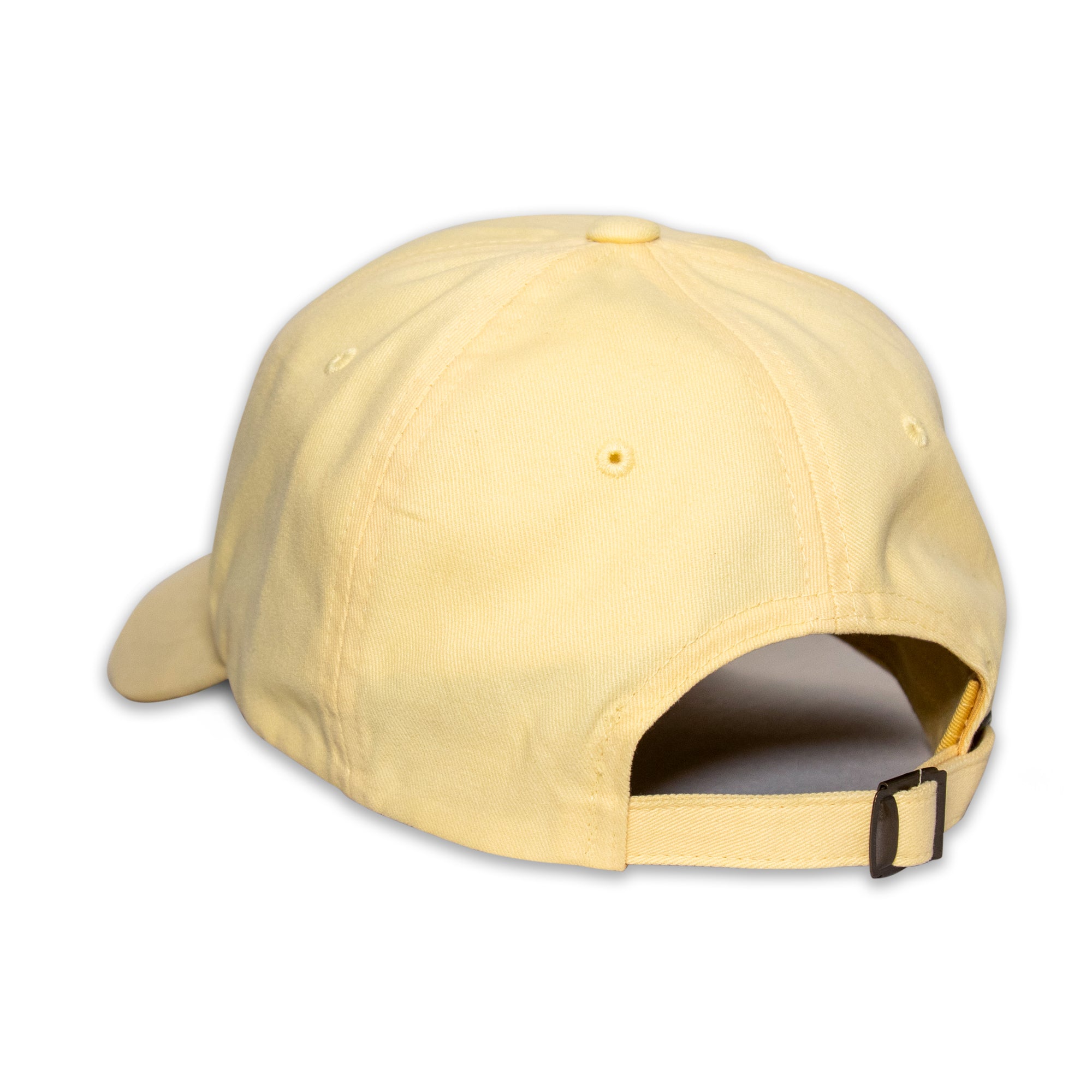 Rainbow 'Dad' Hat