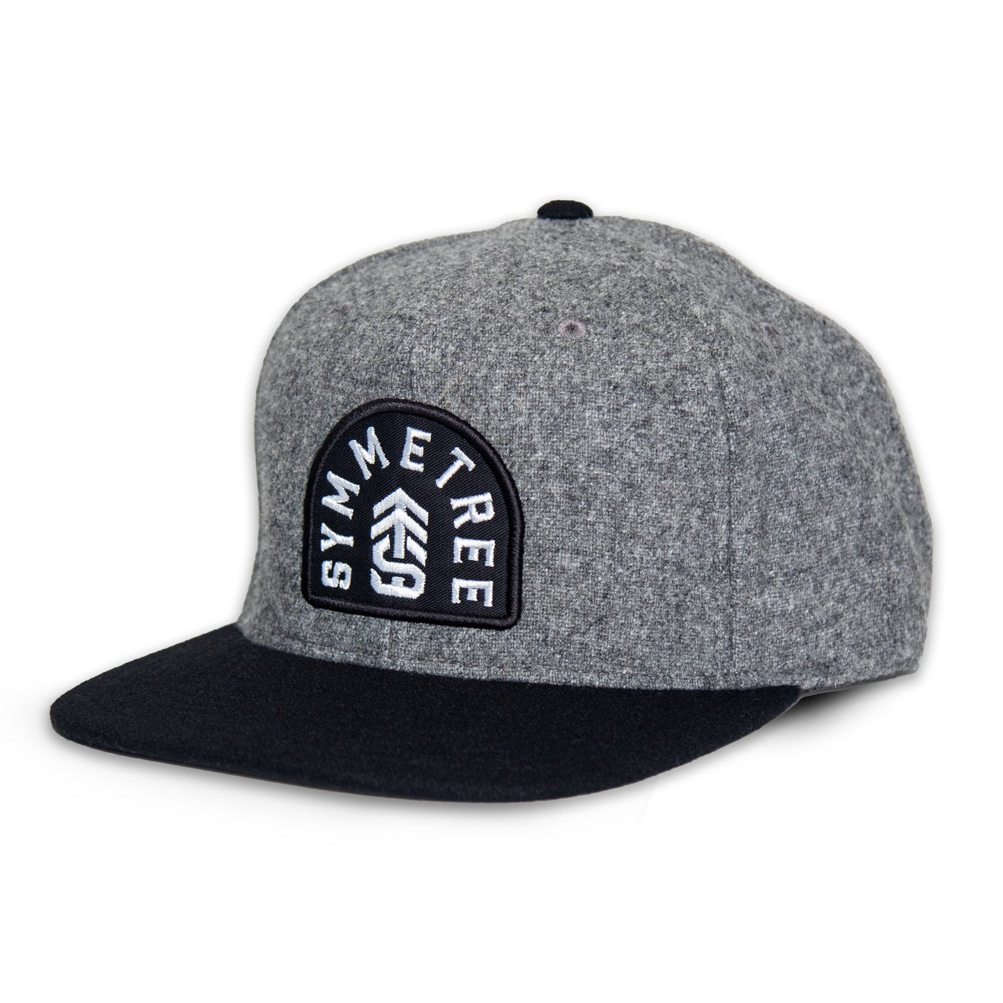 Icon Snapback Hat